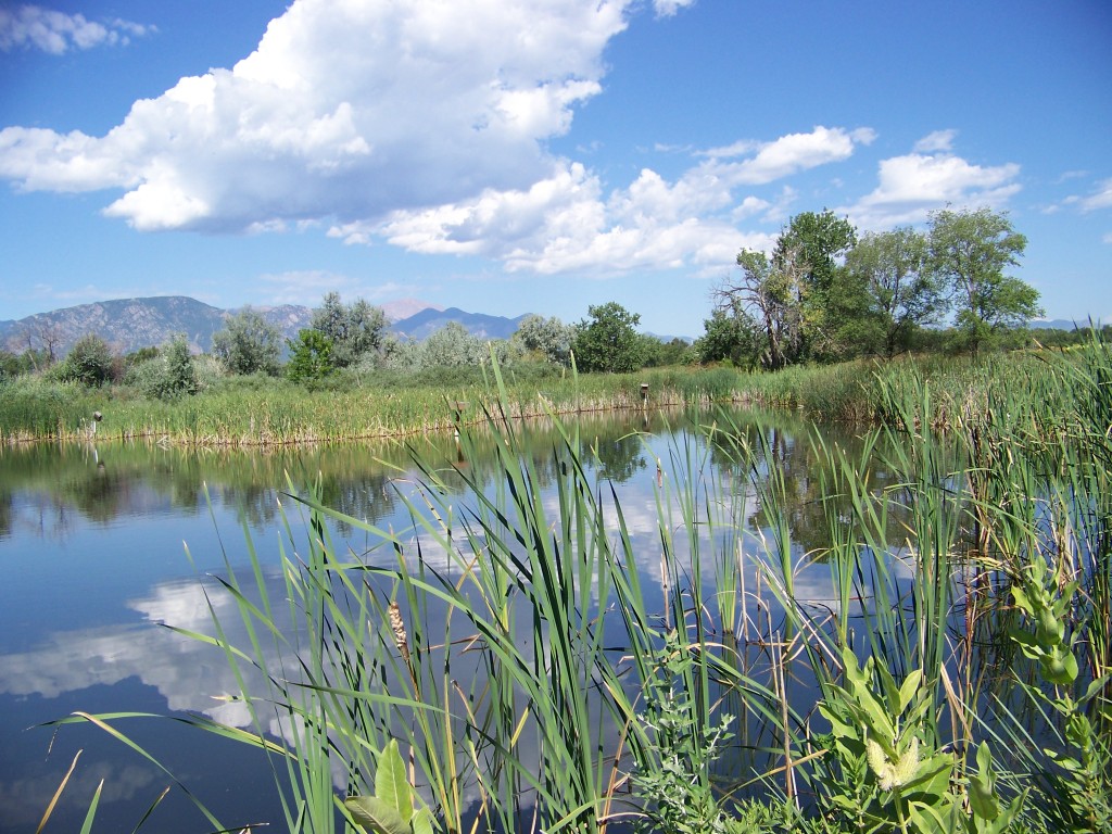 FOUNTAIN VALLEY HISTORY