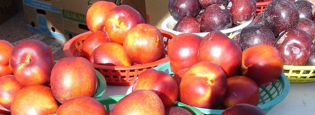 Metcalf Park Farmers Market 2026