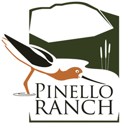 Guided Birding Hike at Pinello Ranch