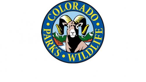 DOGS CHASING WILDLIFE: AN ONGOING PROBLEM IN COLORADO