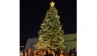 Holiday Tree Lighting Celebration in Widefield