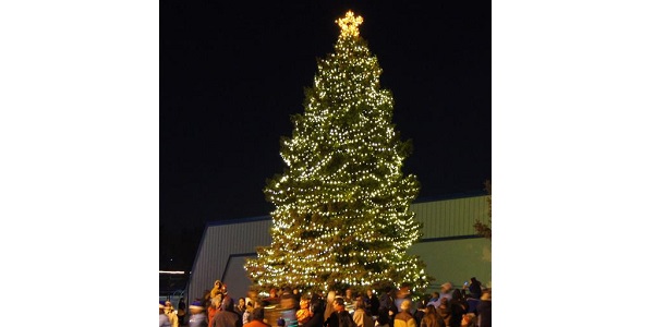 Holiday Tree Lighting Celebration in Widefield