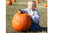 Military Weekend at the Pumpkin Patch