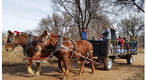 Horse Drawn Wagon Rides