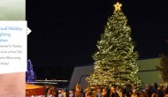 Tree Lighting Celebration in Widefield