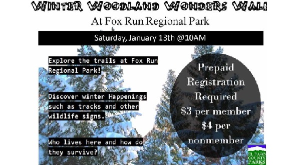 Winter  Woodland Walk at Fox Run