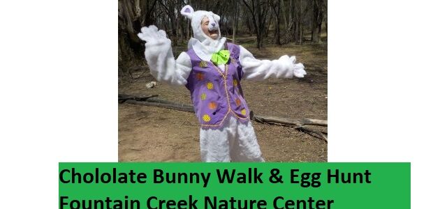 Chocolate Bunny Walk & Egg Hunt