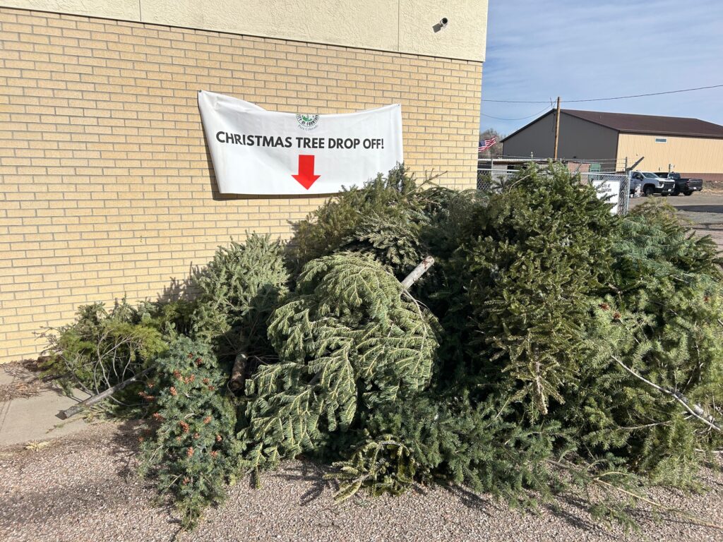 Christmas Tree Drop Off at Lorraine School